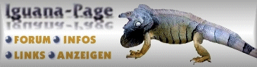 DER  GR�NE  LEGUAN  [ Iguana Iguana ]  >>>  www.Green-Iguana.net