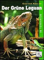 buch: gunther koehler - der gruene leguan im terrarium