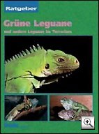 buch: leguan ratgeber grne leguane (iguana-Iguana)