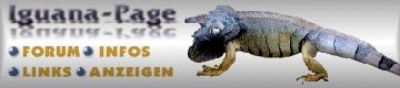 DER GRÜNE LEGUAN [ Iguana Iguana ]