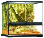 Leguan Terrarienbau / Terrarium fr Leguane